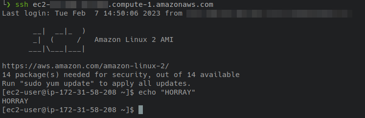 Screenshot of a terminal with working login to an EC2 instance with correct default user
